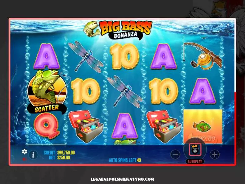 Big Bass Bonanza Nasil Oynanir 21